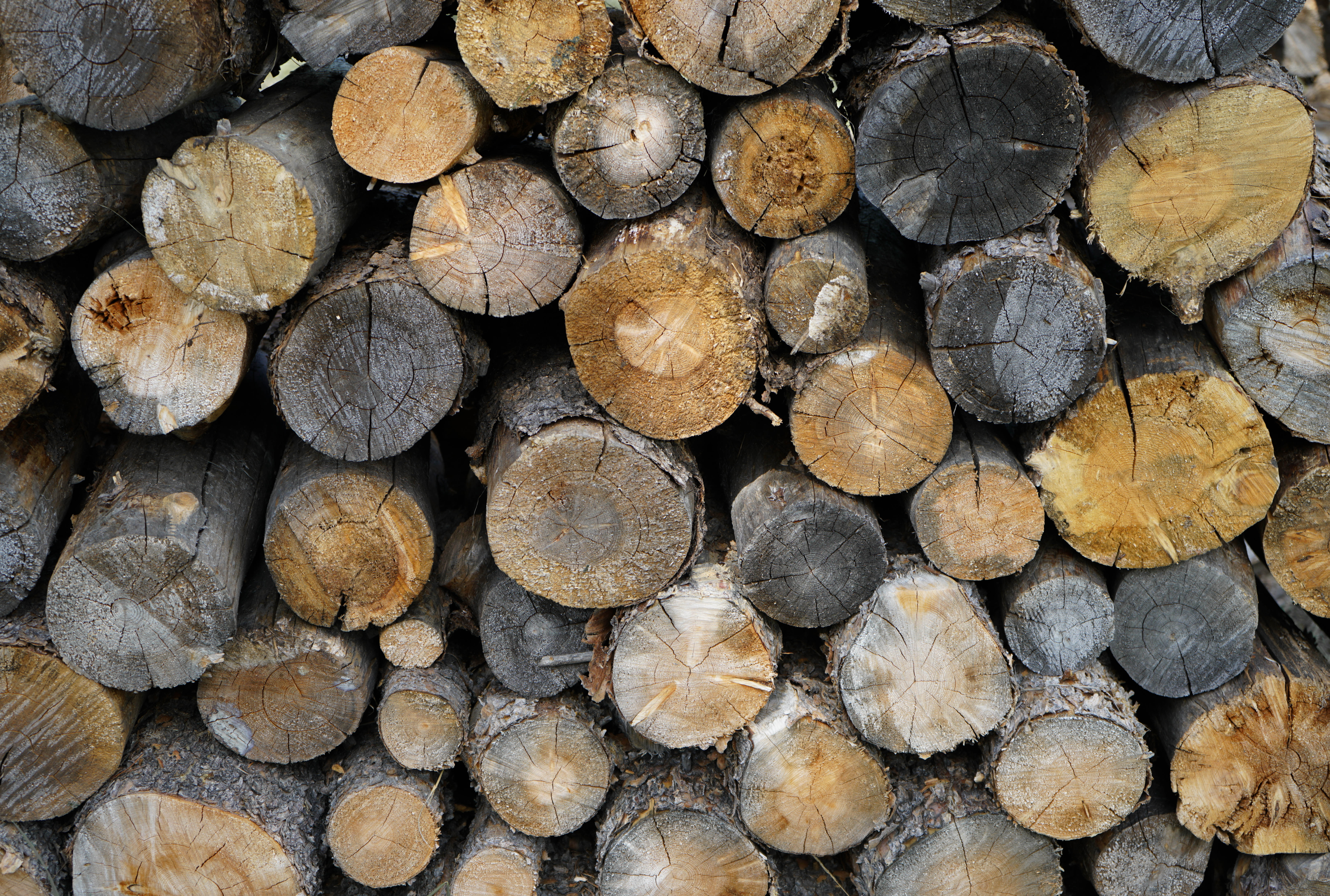 Firewood Sometimes during vacation, you do some chores