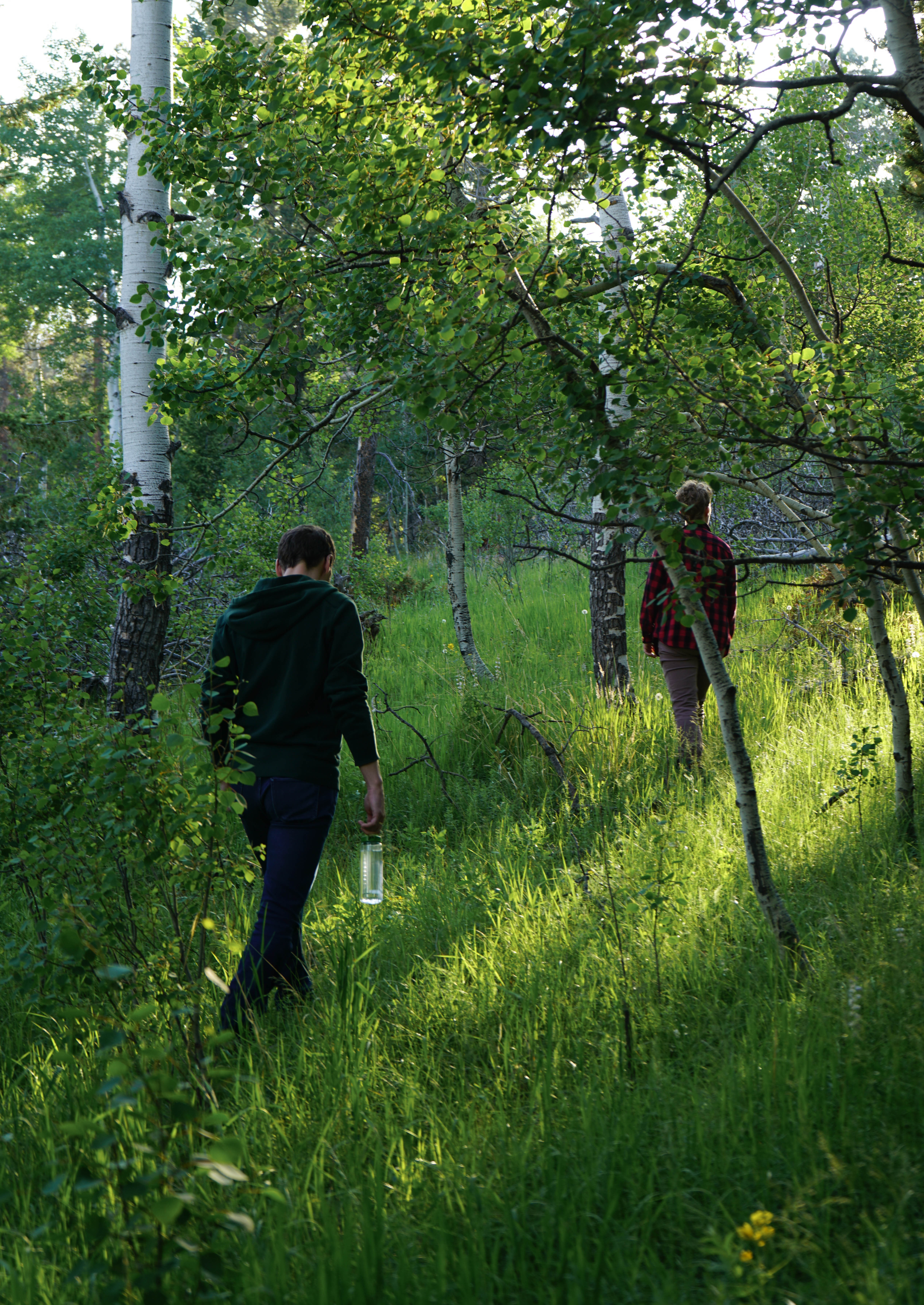 Walking Love going on contemplative nature walks