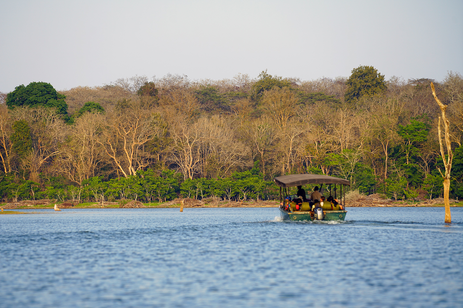 It's nice to be out on the water for a boat safari. The scenery is quite lovely.
