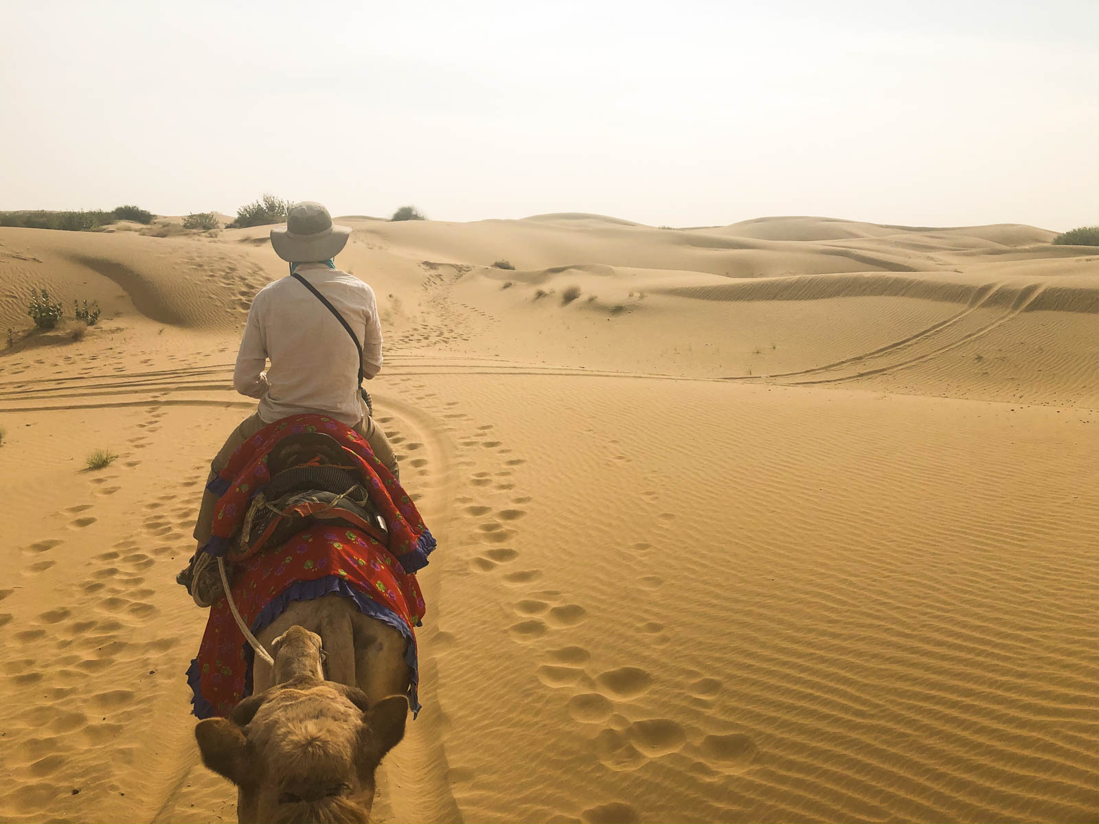 Headed into the desert