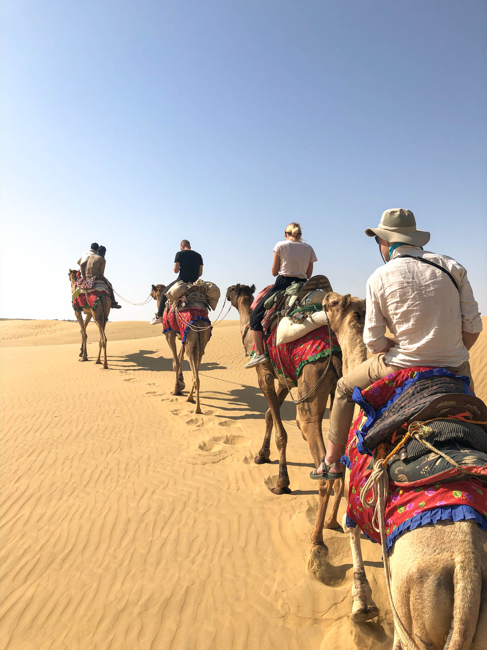 Caravaning camels