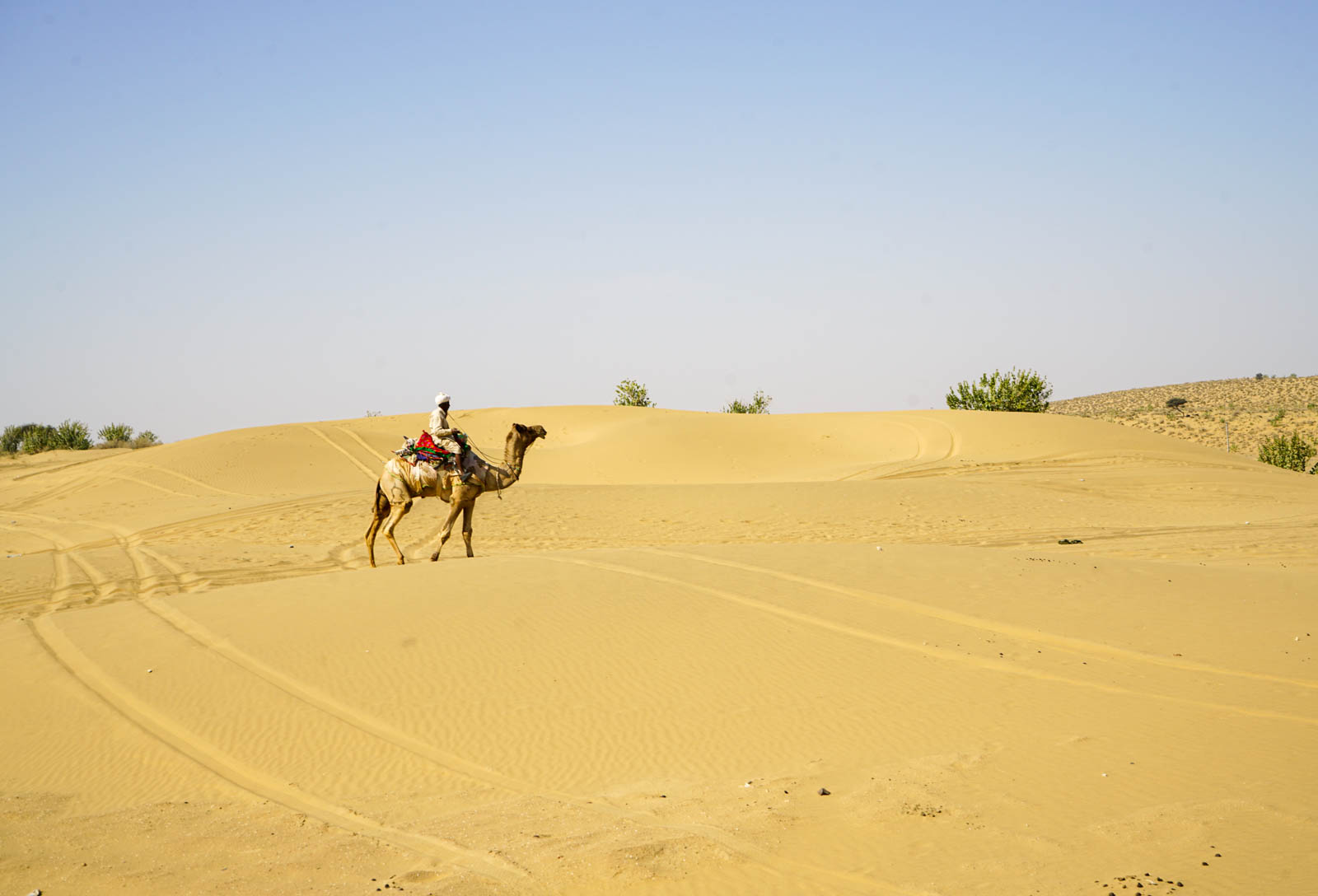 See? Locals travel by camels too! 