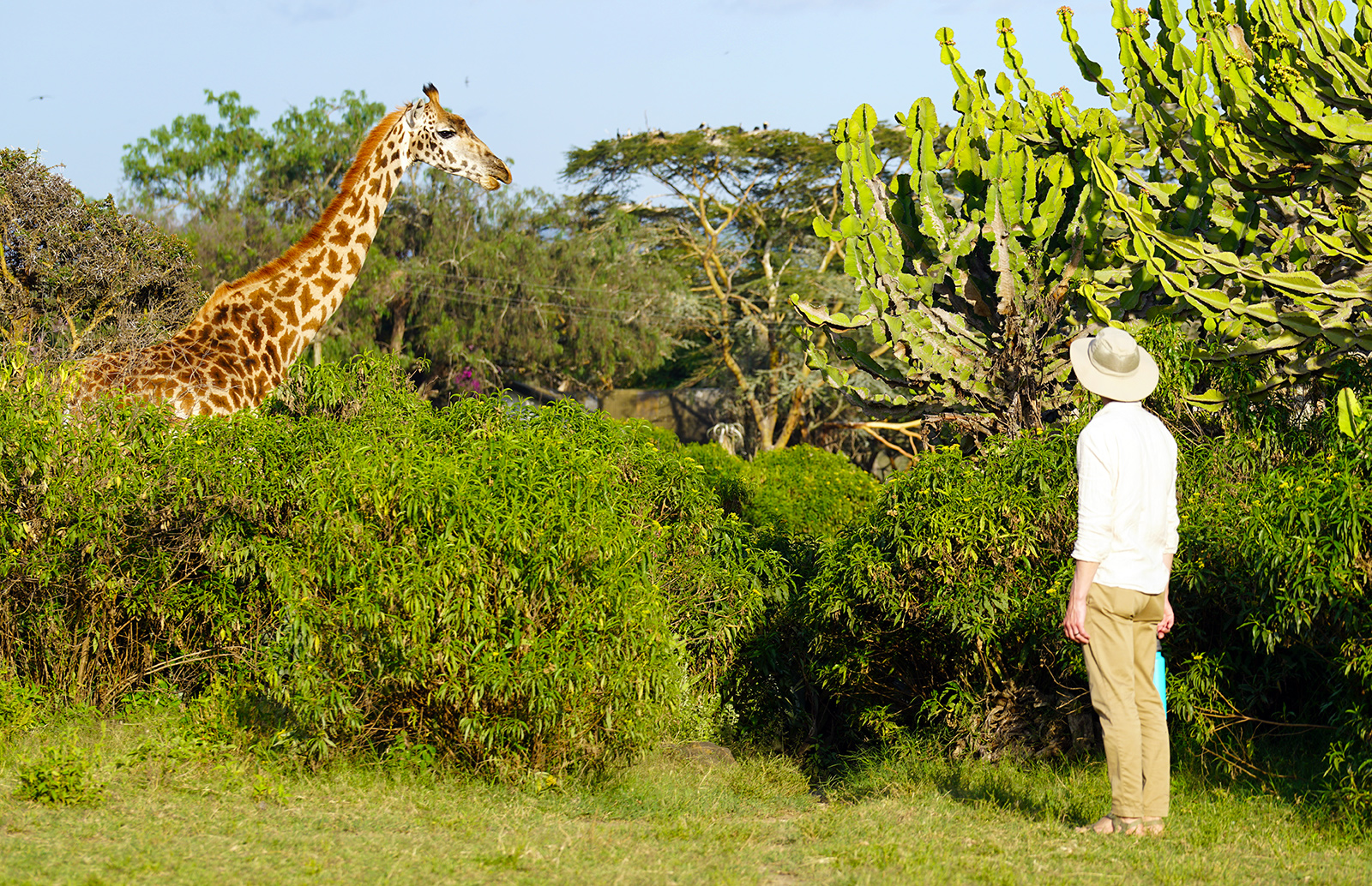 Crescent Island Sanctuary and Lake Naivasha