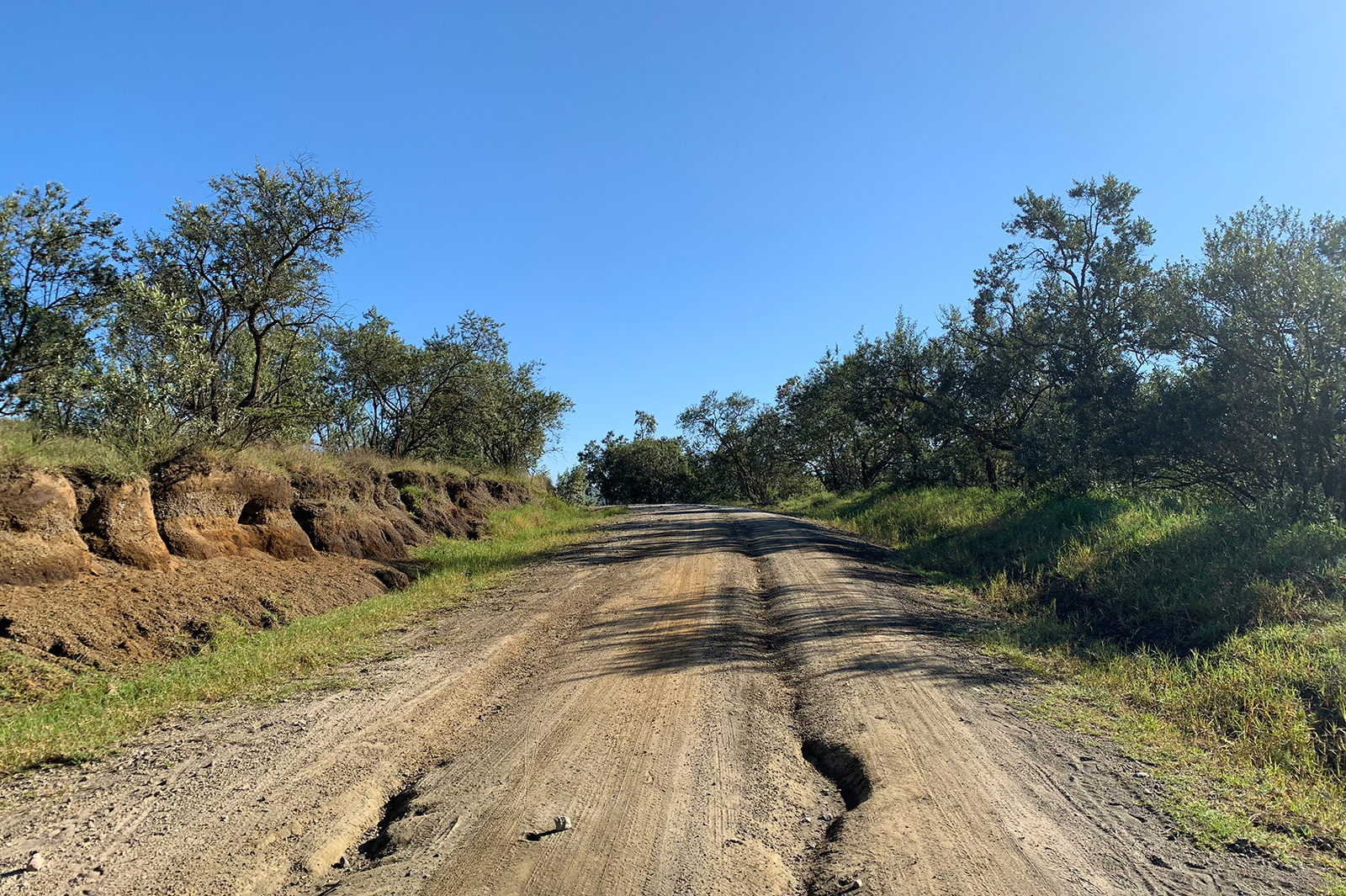 Amazing cycling safari in Hell's Gate National Park