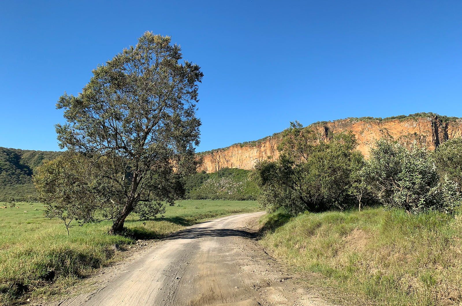Amazing cycling safari in Hell's Gate National Park