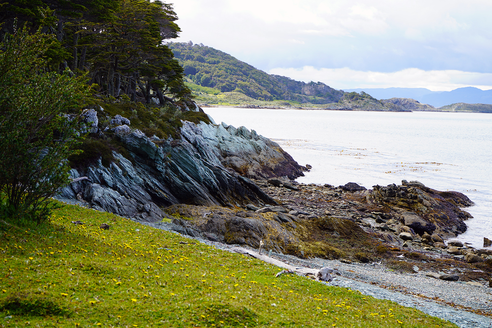 Rugged coastline trail