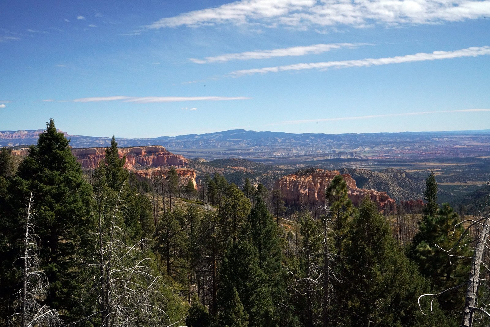 Bryce Canyon Overlook