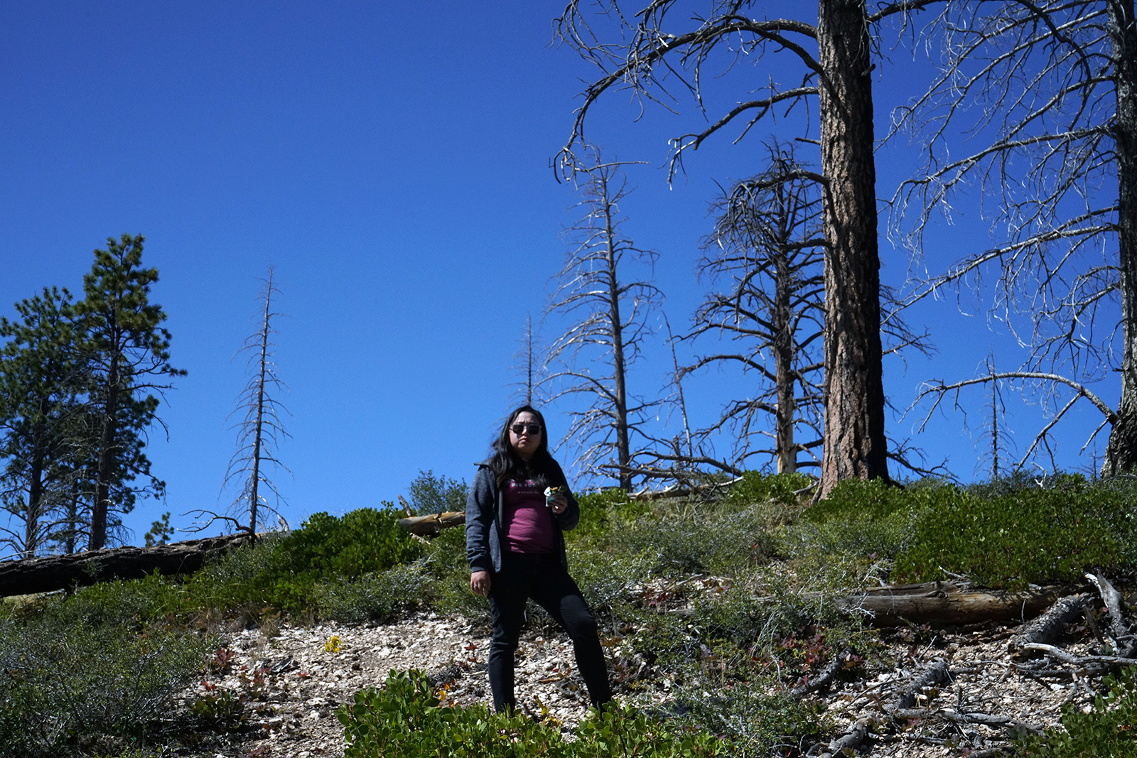Tiffany conquers this vista and this Rx bar