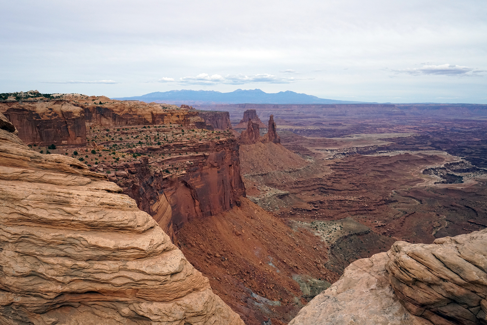 Canyonlands canyons