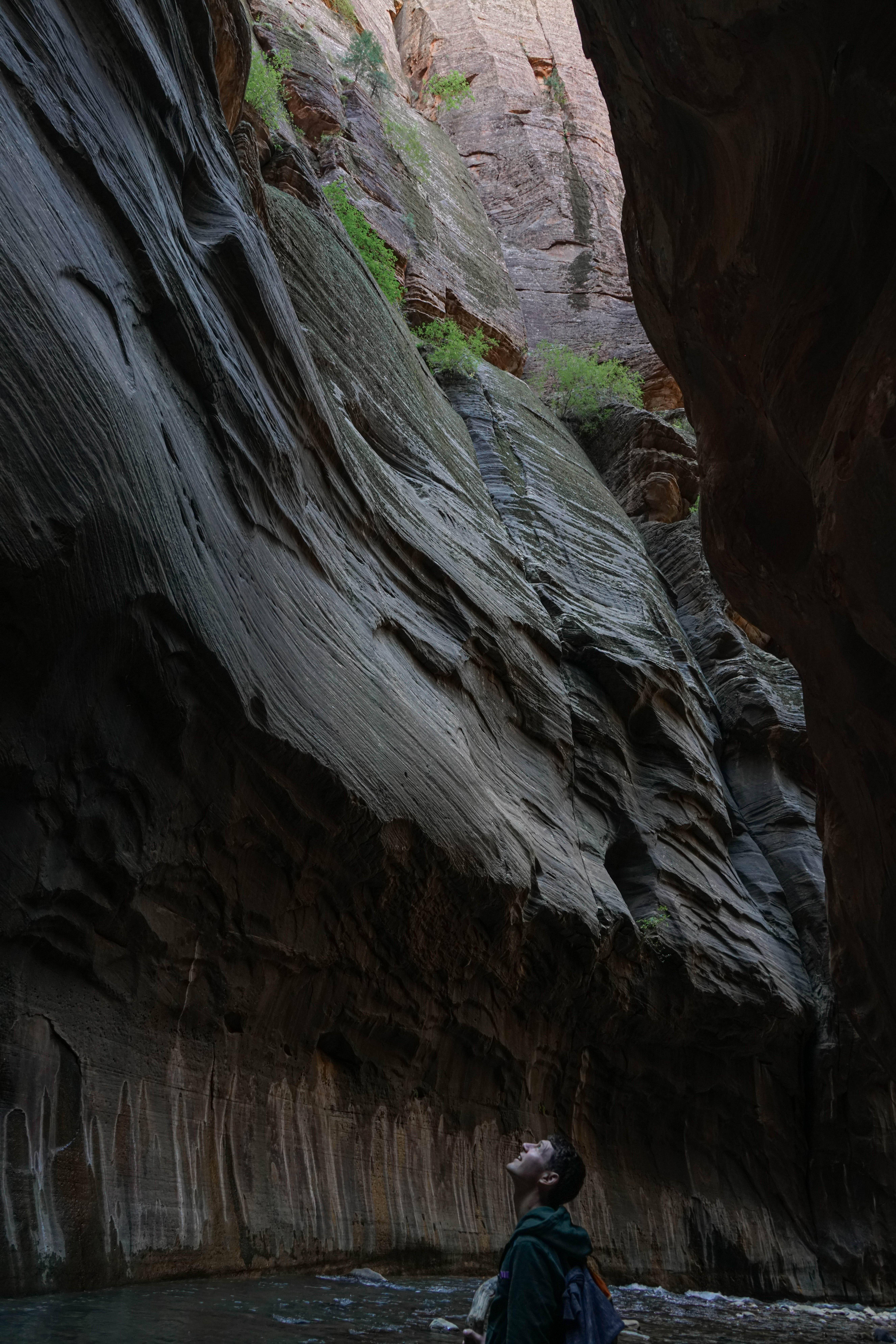 The Narrows